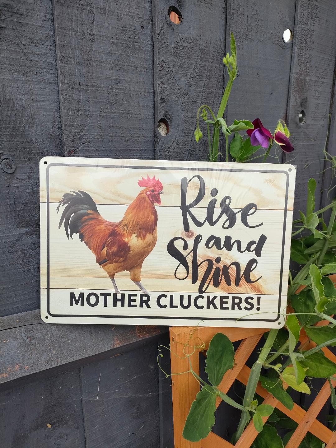 Rise and Shine MOTHER CLUCKERS, Colorful. Fun Chicken sign for you garden of farm. Aluminum Warning Signs,