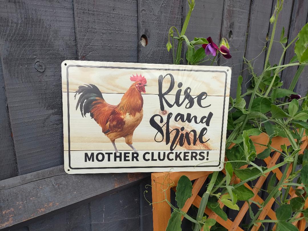 Rise and Shine MOTHER CLUCKERS, Colorful. Fun Chicken sign for you garden of farm. Aluminum Warning Signs,