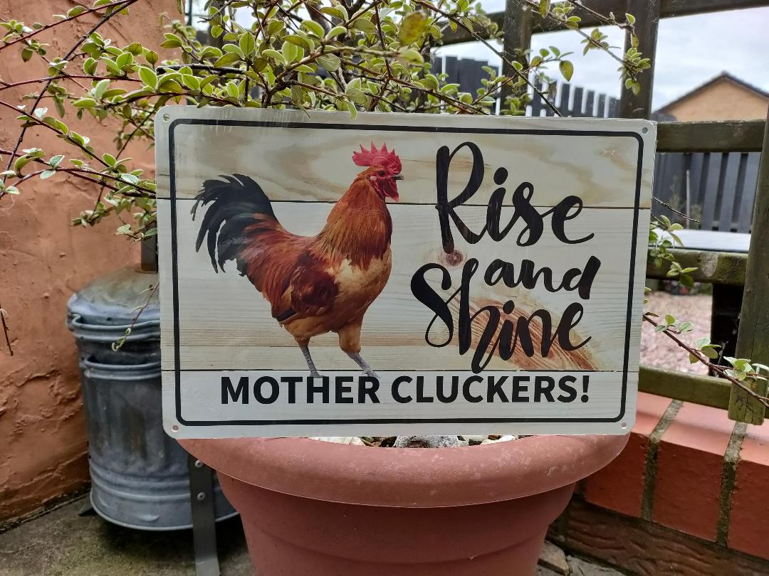 Rise and Shine MOTHER CLUCKERS, Colorful. Fun Chicken sign for you garden of farm. Aluminum Warning Signs,