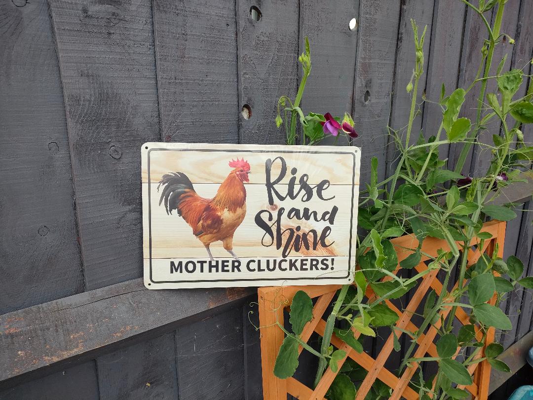 Rise and Shine MOTHER CLUCKERS, Colorful. Fun Chicken sign for you garden of farm. Aluminum Warning Signs,