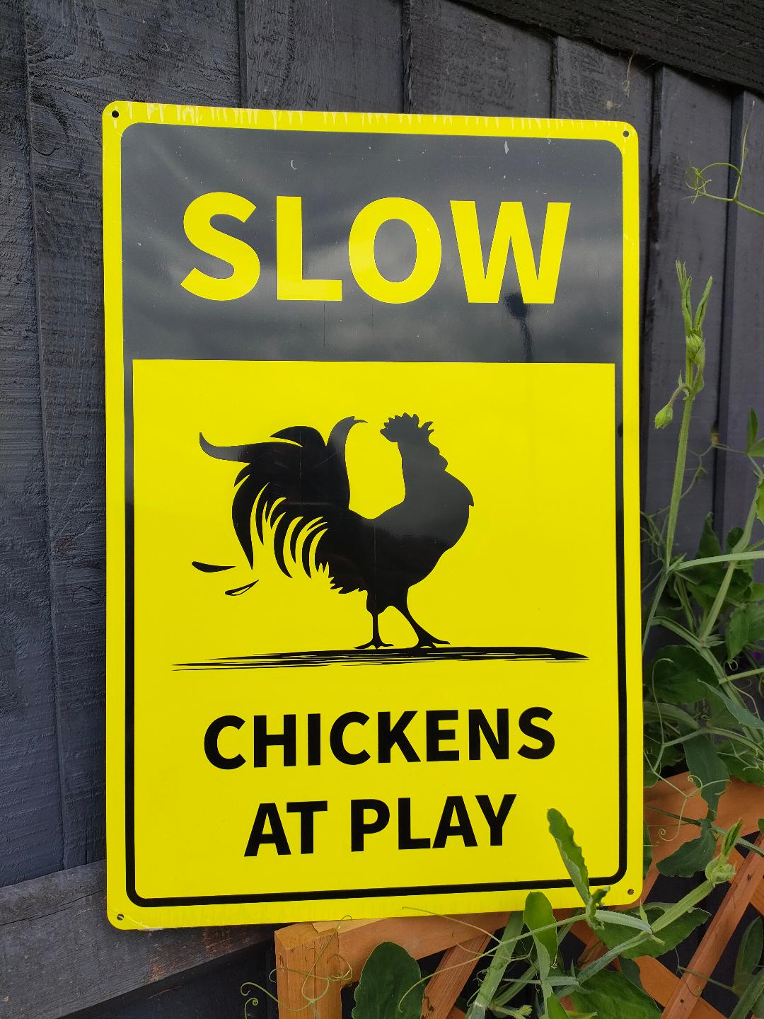 SLOW CHICKENS AT PLAY. Sign for garden gates, fences or posts.