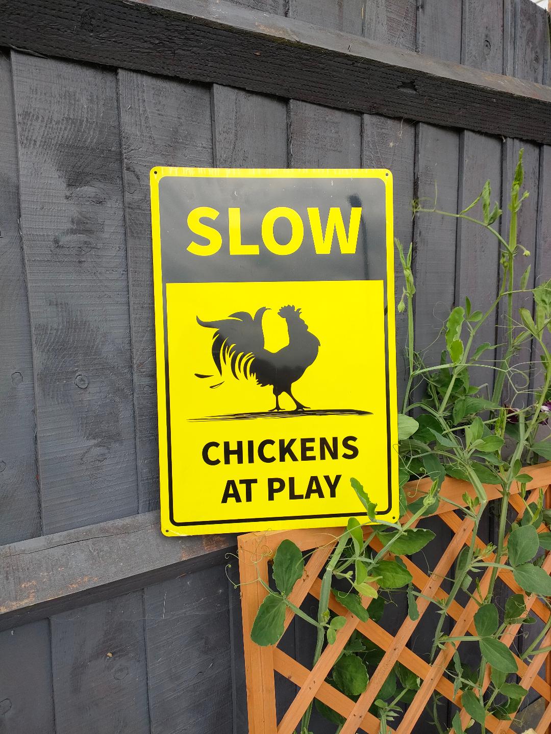 SLOW CHICKENS AT PLAY. Sign for garden gates, fences or posts.