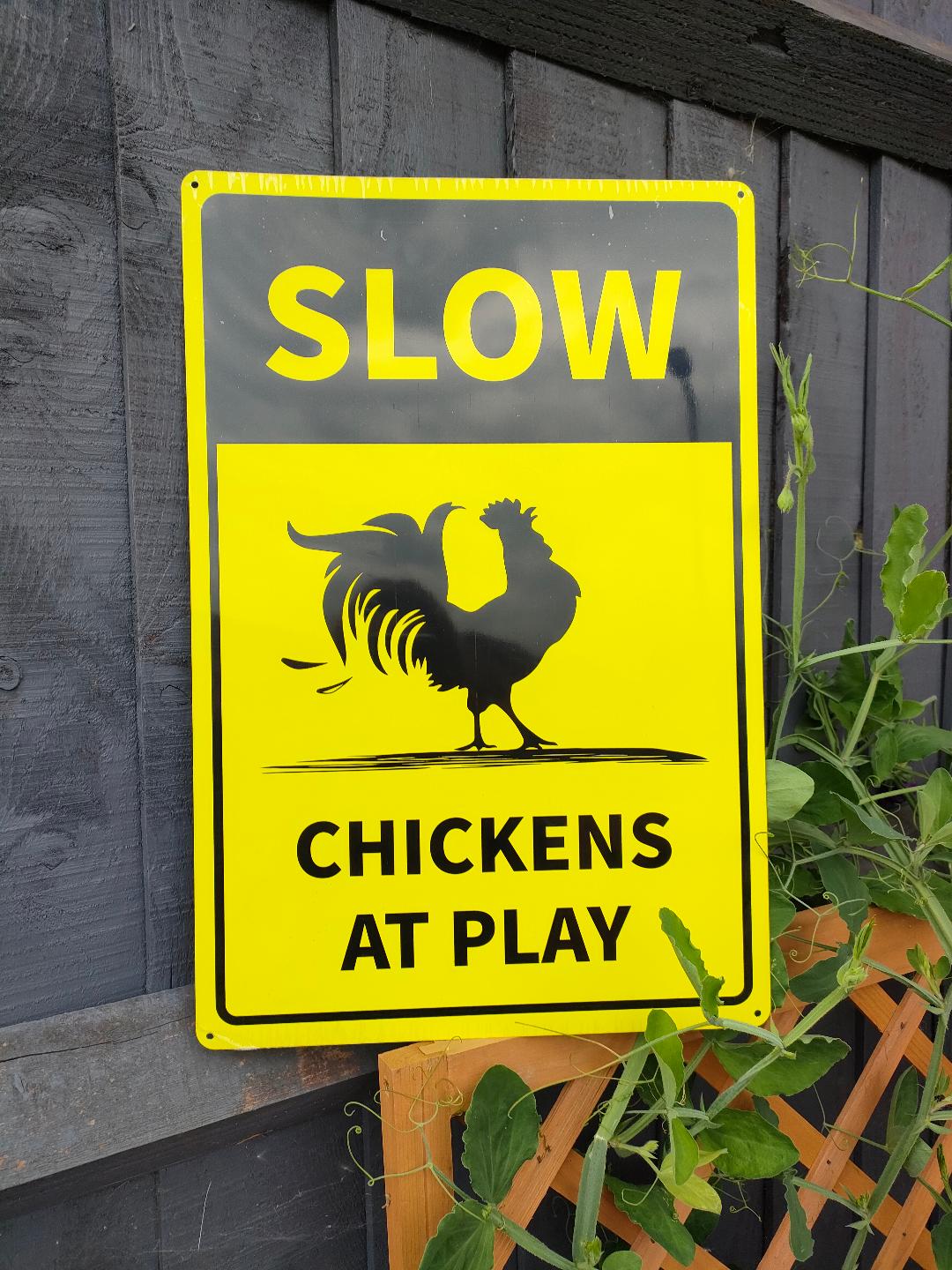 SLOW CHICKENS AT PLAY. Sign for garden gates, fences or posts.