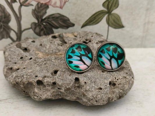 12mm Butterfly Wing Print Studs, Insect Earrings for Her, Black Turquoise and Pink Butterfly Earrings, Gift for Mum, Hypoallergenic Studs.