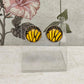 Copy of 12mm Butterfly Wing Print Studs, Insect Earrings for Her, Yellow and Black Butterfly Earrings, Gift for Mum, Hypoallergenic Studs.
