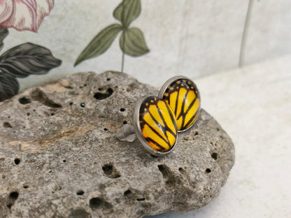 Copy of 12mm Butterfly Wing Print Studs, Insect Earrings for Her, Yellow and Black Butterfly Earrings, Gift for Mum, Hypoallergenic Studs.